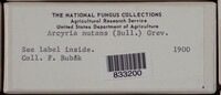 Image Associated With the Occurence